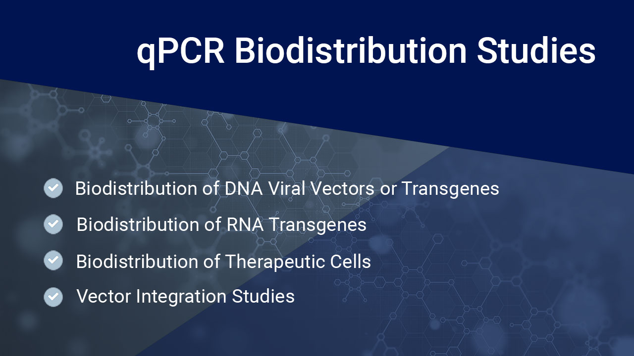 DNA Biodistribution Study - Avance Biosciences