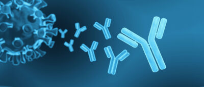 mAb and Protein Testing - Avance Biosciences